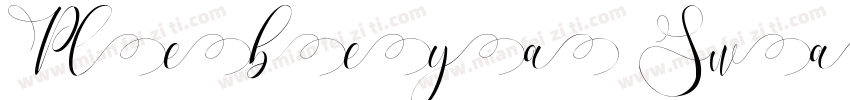 Plebeya Swash 4字体转换